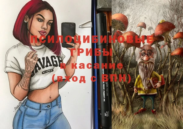 бошки Алексин