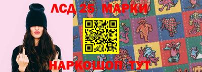 гидра Заводоуковск
