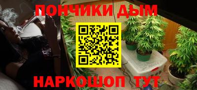 гидра Заводоуковск