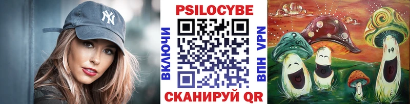 MEGA ссылки  Сунжа  Псилоцибиновые грибы Magic Shrooms  наркошоп 